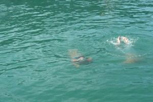 Swimmers in Alum Bay