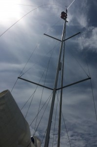 Mast Climbing 1