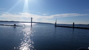 Sunny Sailing