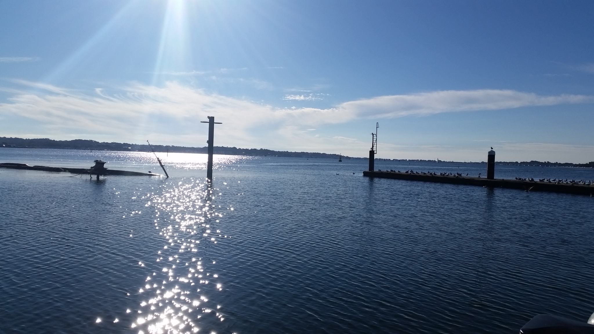 Sunny Sailing
