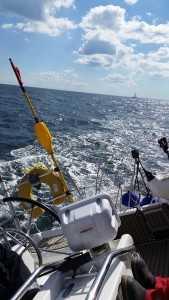 Cracking Sunny Sail