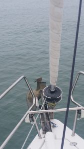 Bird catching a ride
